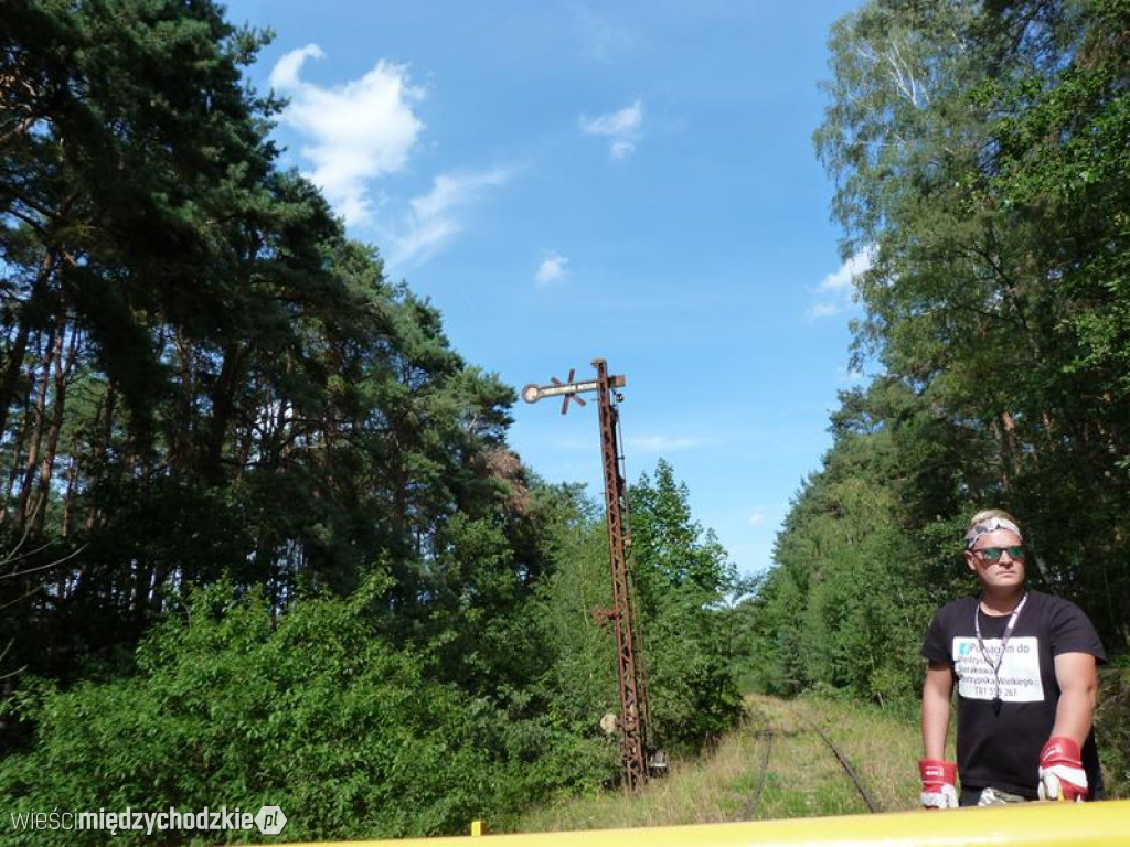 Przyroda widziana z drezyny