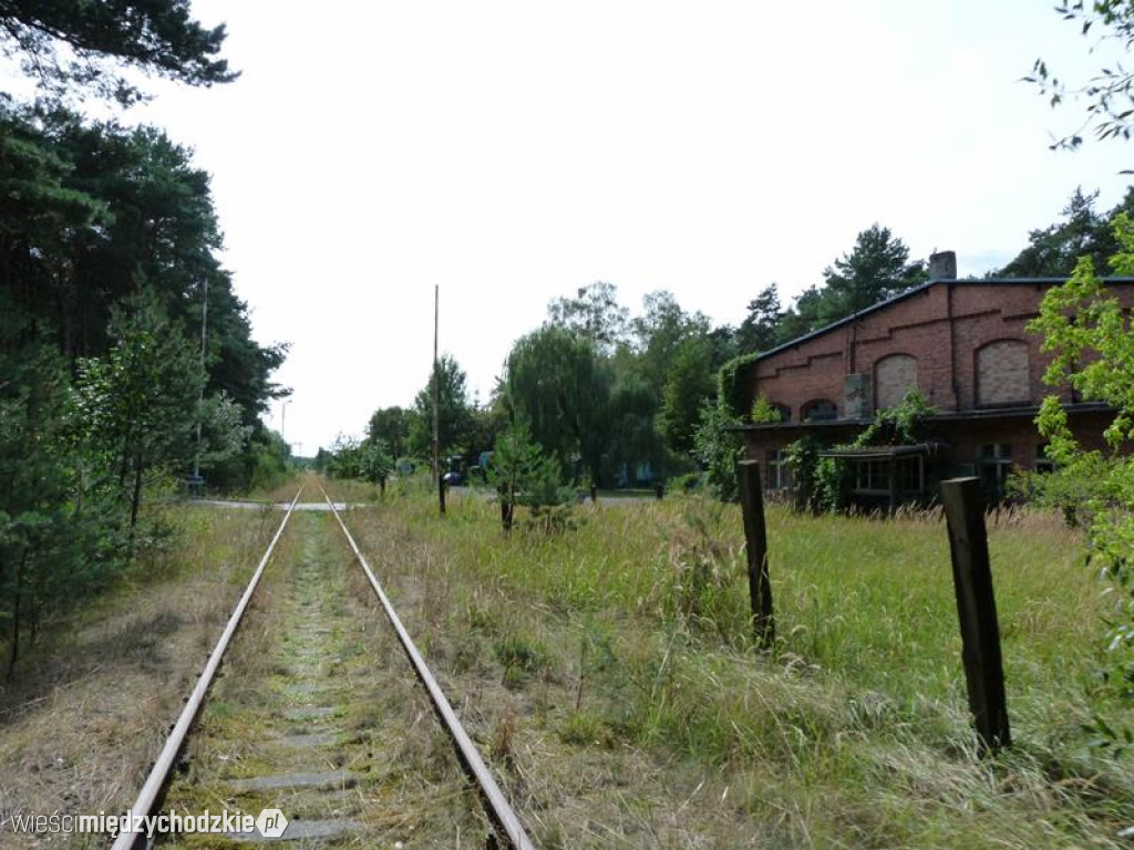 Przyroda widziana z drezyny