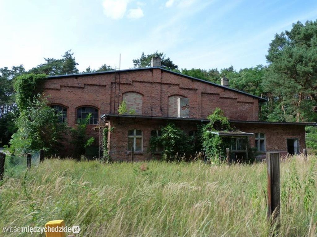 Przyroda widziana z drezyny
