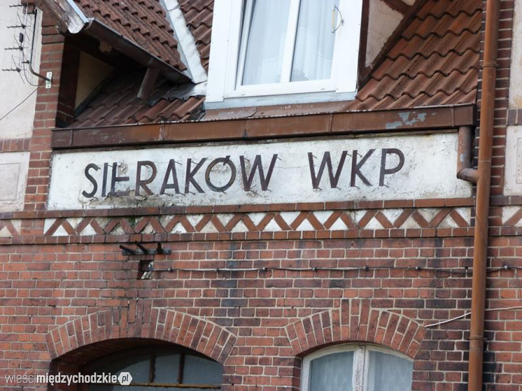 Przyroda widziana z drezyny
