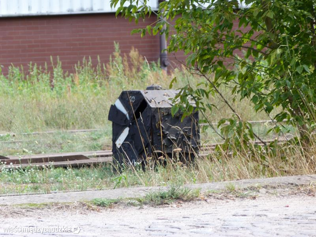 Przyroda widziana z drezyny