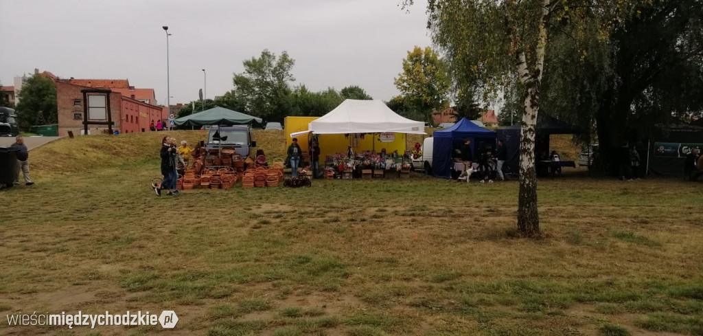 Święto Podgrzybka trwa