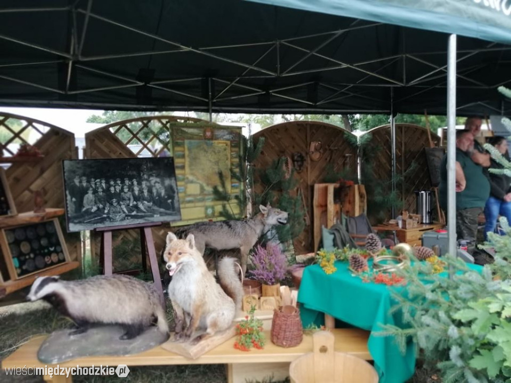 Święto Podgrzybka trwa