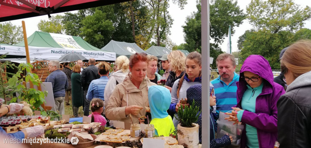 Święto Podgrzybka trwa