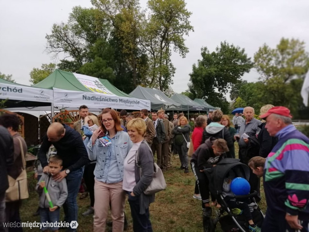 Święto Podgrzybka trwa