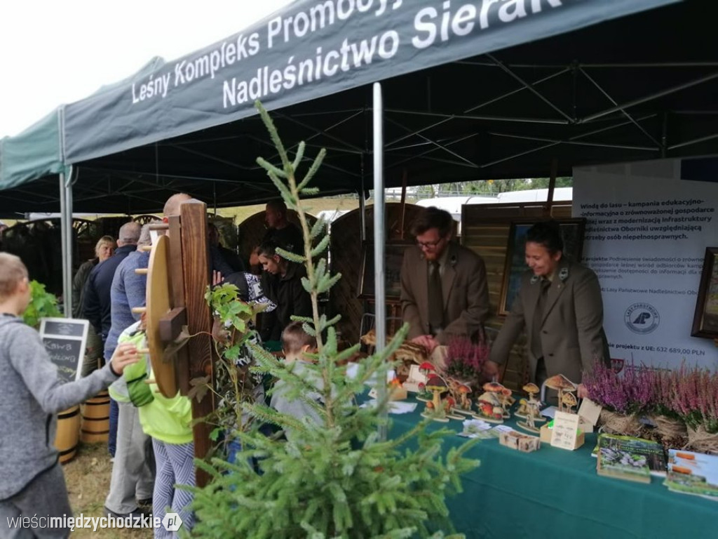 Święto Podgrzybka trwa