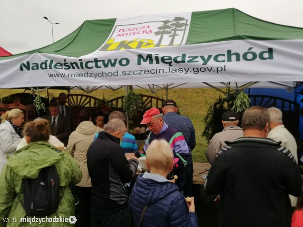 Święto Podgrzybka trwa
