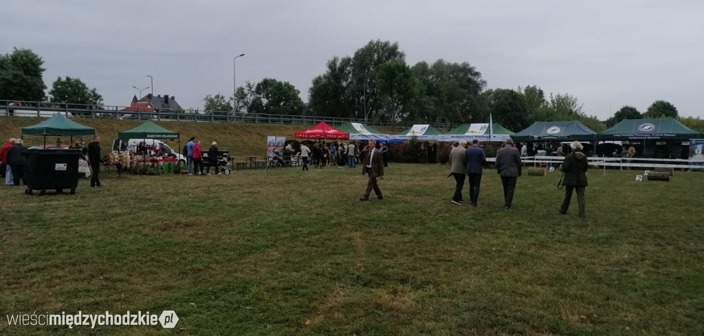 Święto Podgrzybka trwa