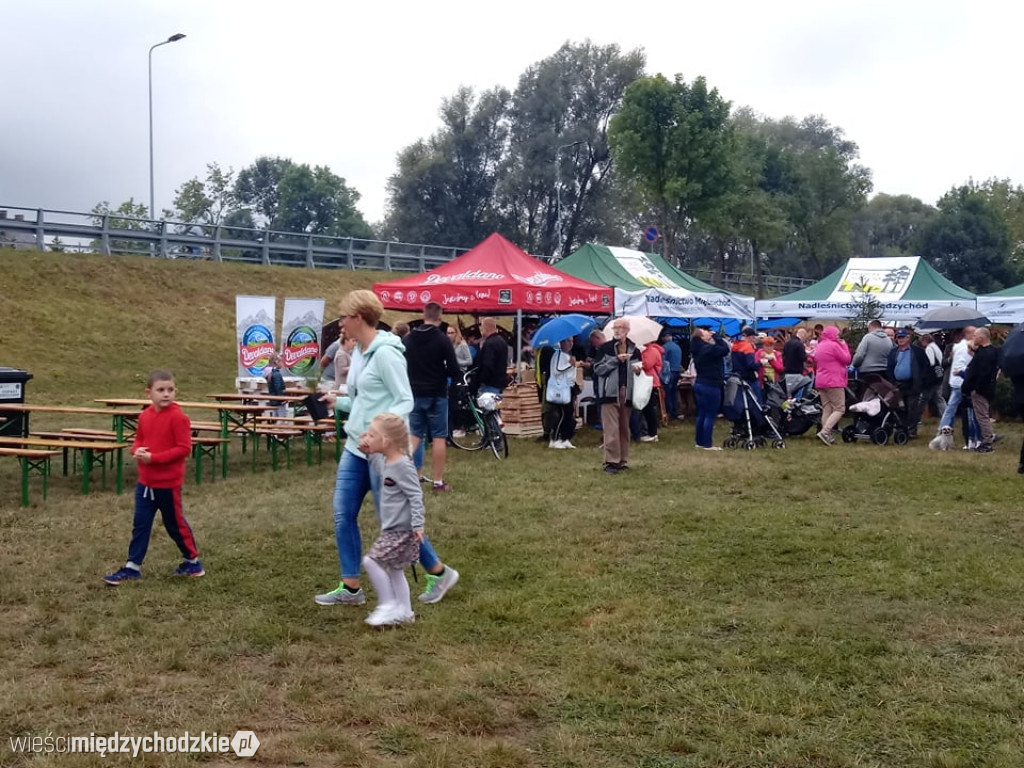 Zapraszamy na Przystań nad Wartą