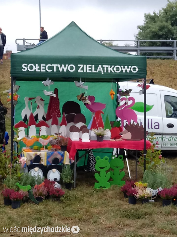 Zapraszamy na Przystań nad Wartą