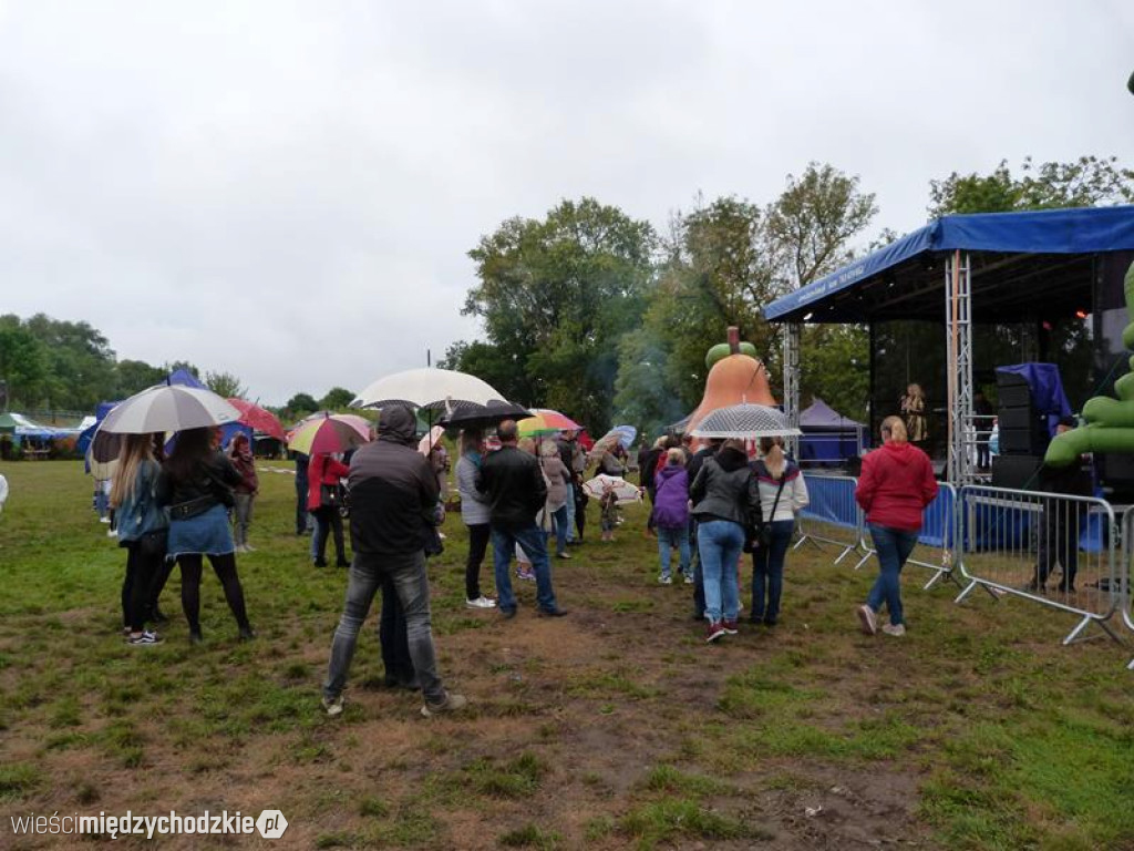Święto Podgrzybka c.d