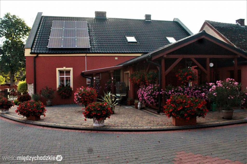 Ogród moich marzeń