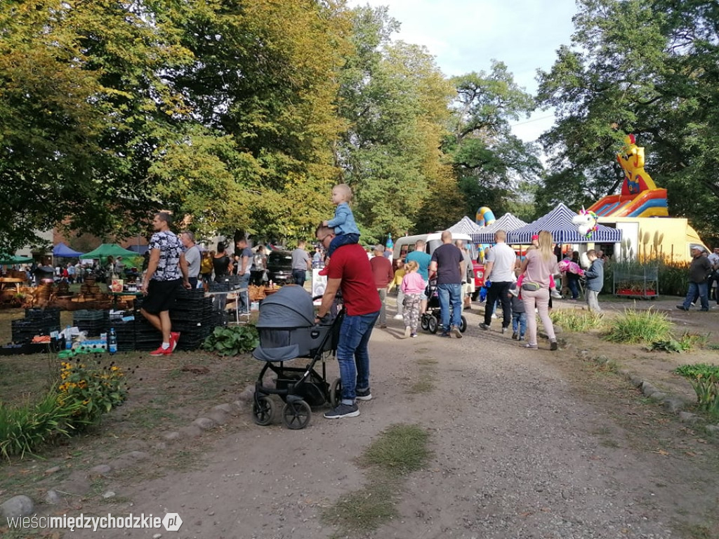 W Mniszkach trwa Wielkie Smażenie Powideł