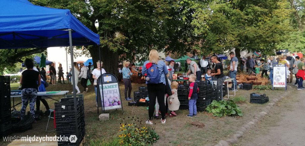 Smażenie powideł w Mniszkach