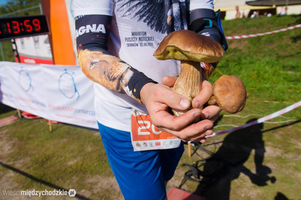  V Maraton Półmaraton Puszczy Noteckiej