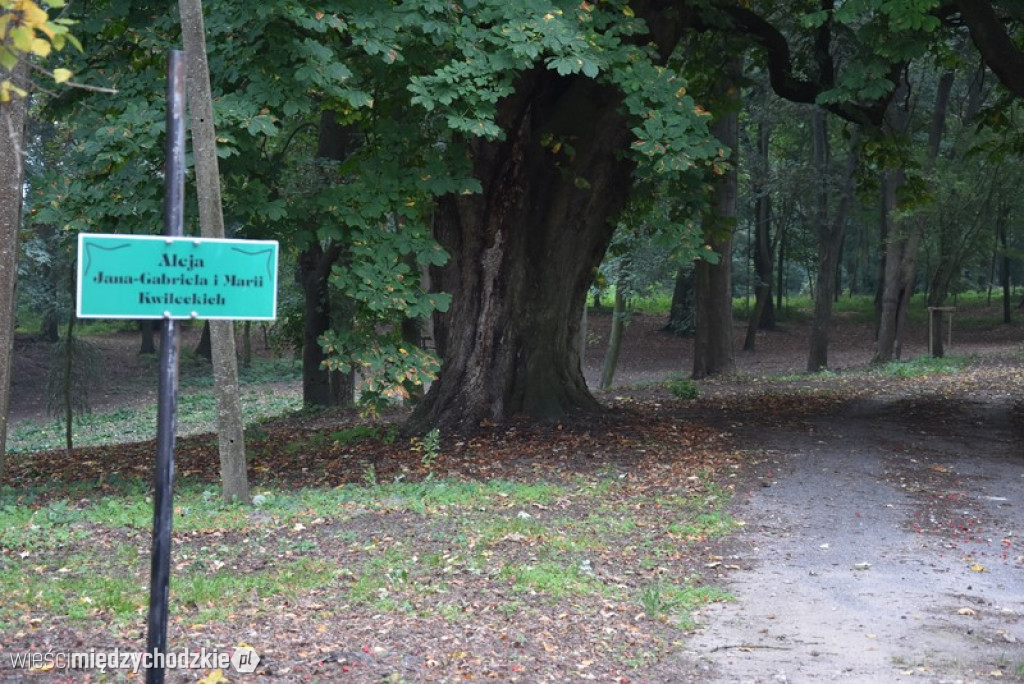Wycieczka po Krainie 100 Jezior