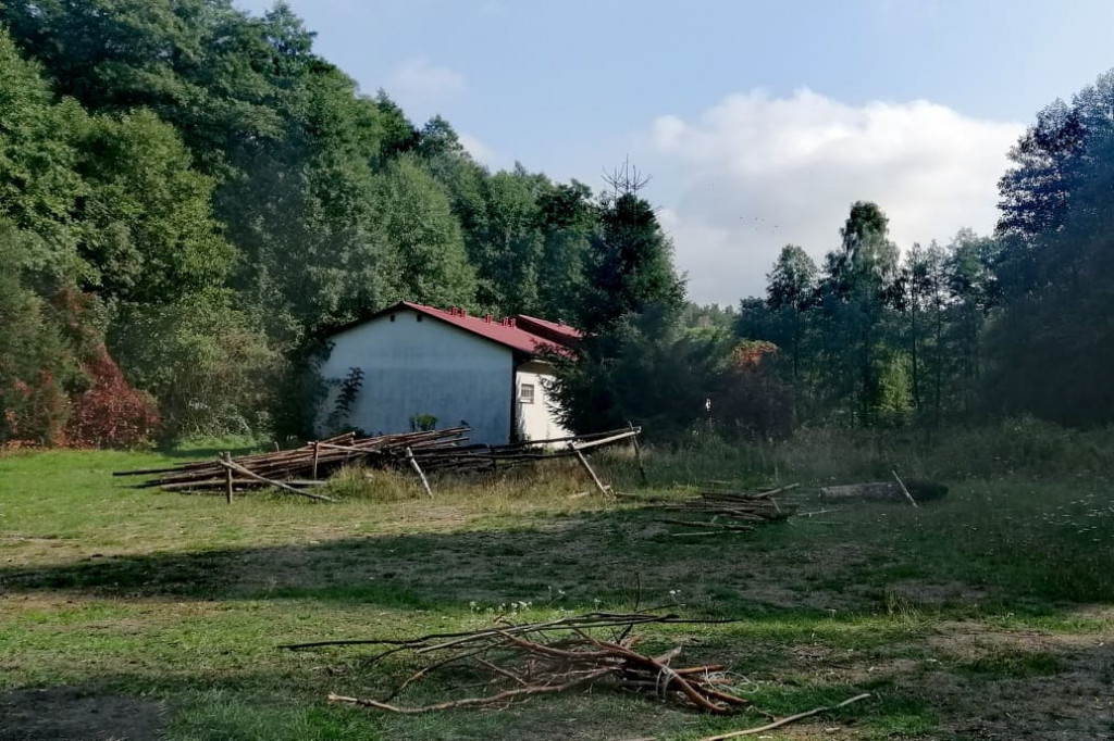 Kolejny dzień poszukiwań Jacka D