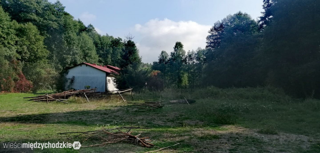 Kolejny dzień poszukiwań Jacka D