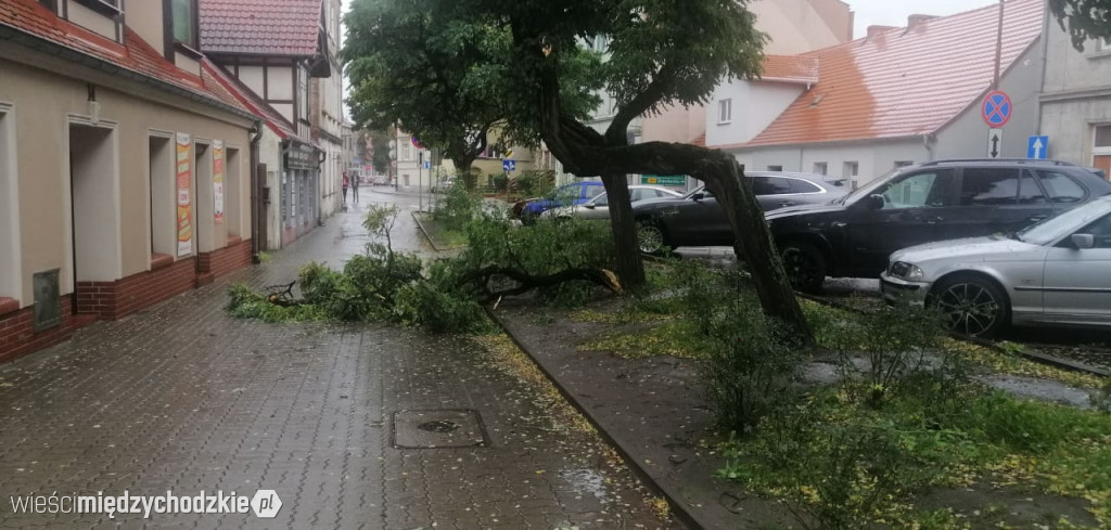 Uwaga na łamiące się drzewa