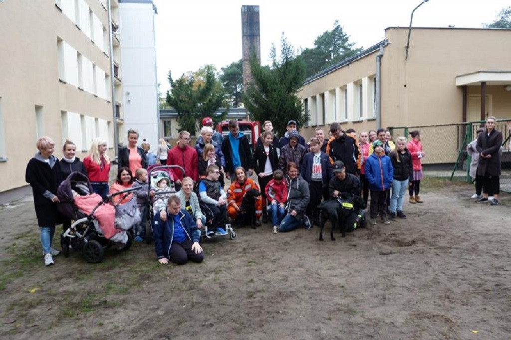 Pokaz umiejętności psich ratowników