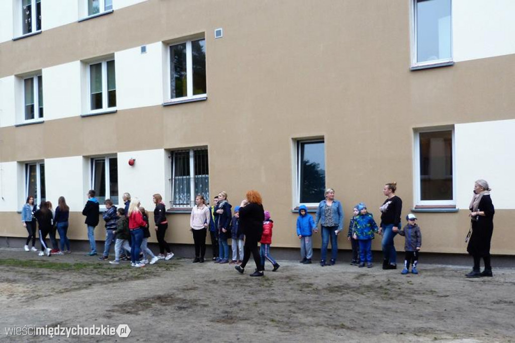Pokaz umiejętności psich ratowników