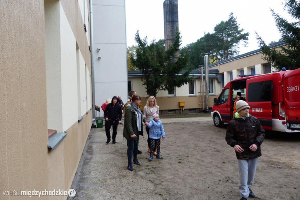 Pokaz umiejętności psich ratowników