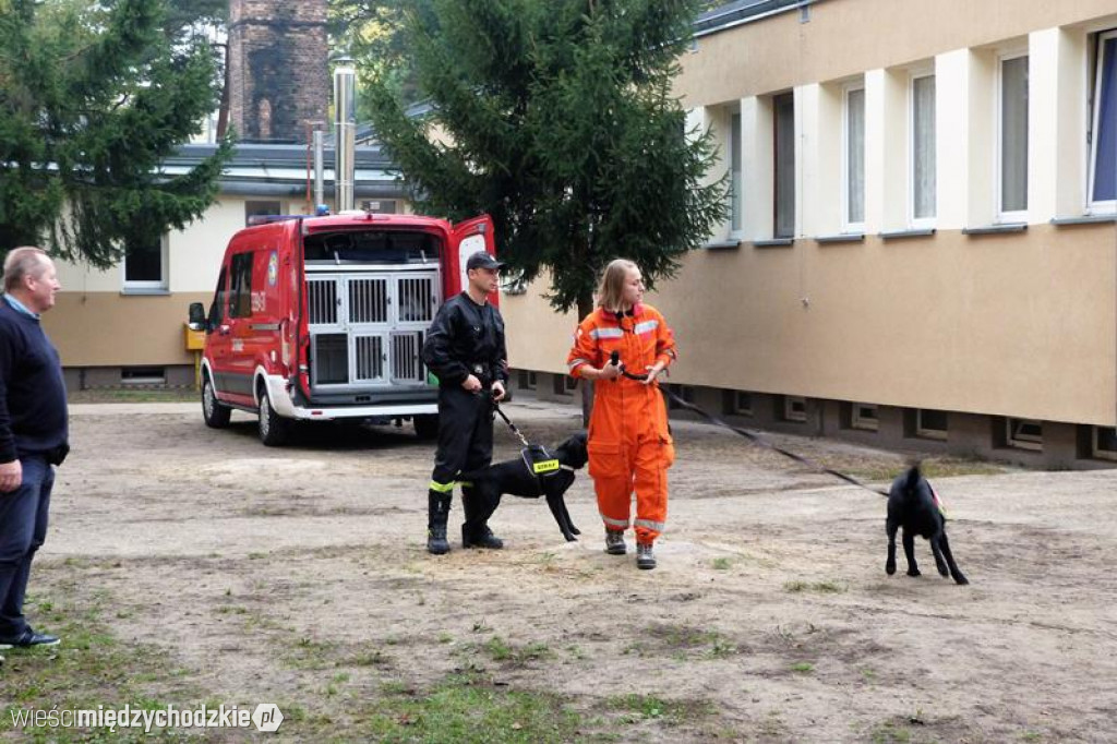 Pokaz umiejętności psich ratowników