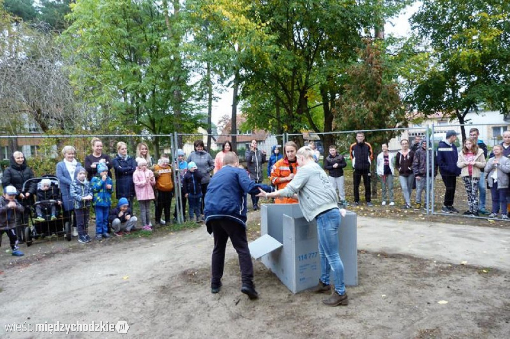 Pokaz umiejętności psich ratowników