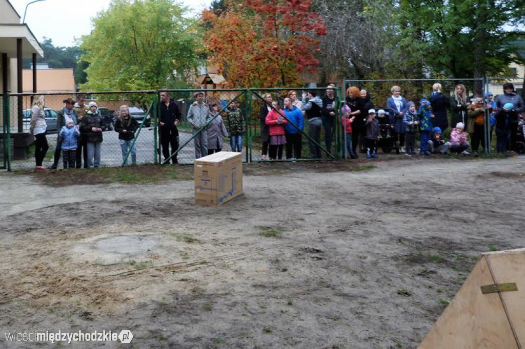 Pokaz umiejętności psich ratowników