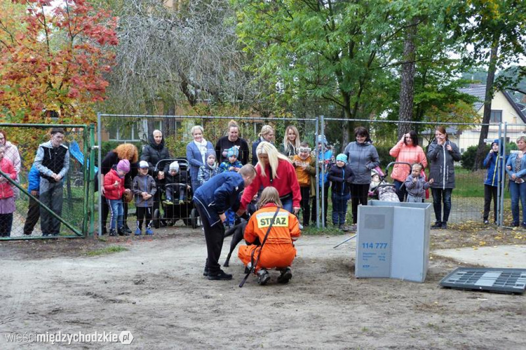 Pokaz umiejętności psich ratowników