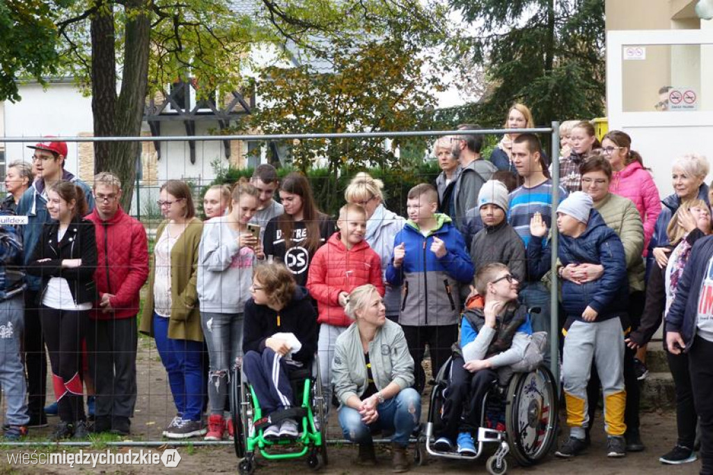 Pokaz umiejętności psich ratowników
