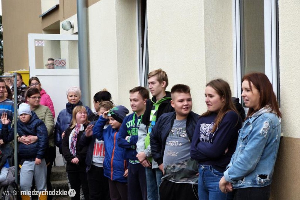 Pokaz umiejętności psich ratowników