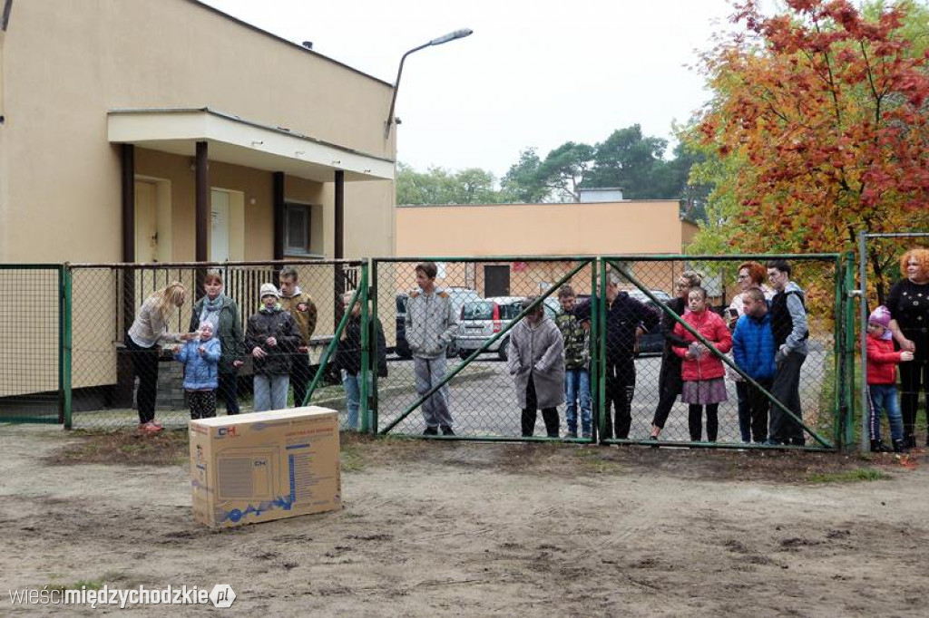 Pokaz umiejętności psich ratowników
