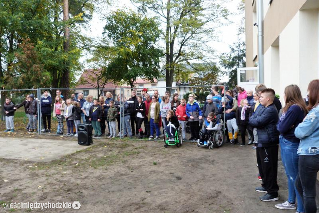 Pokaz umiejętności psich ratowników