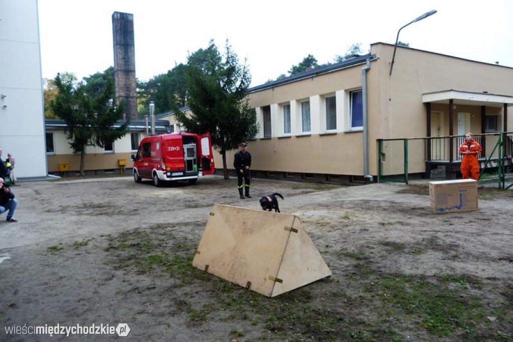 Pokaz umiejętności psich ratowników