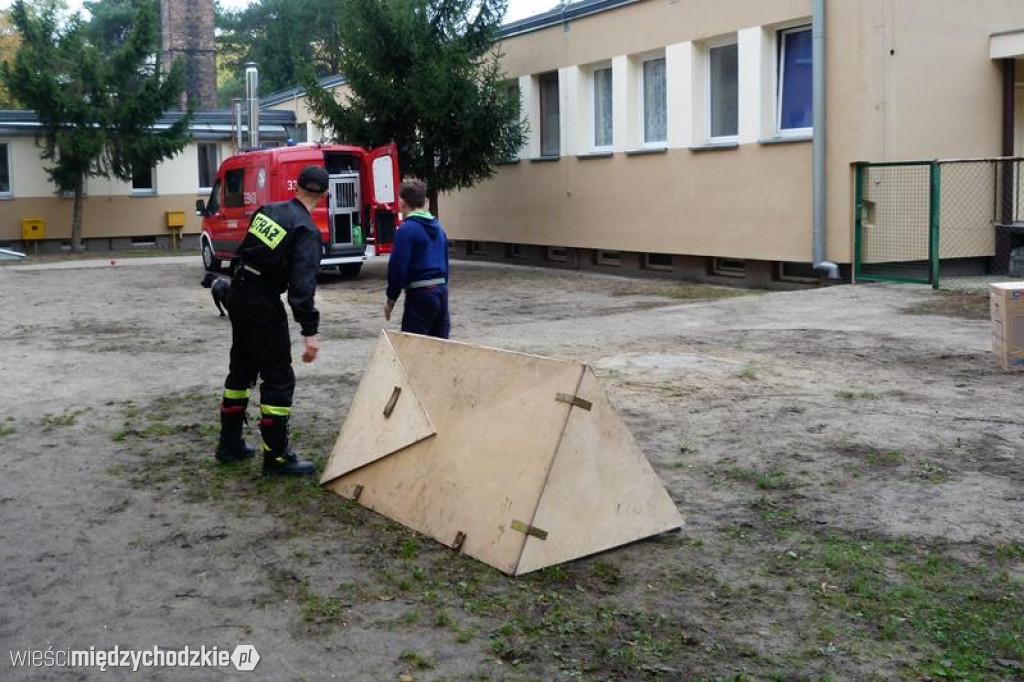 Pokaz umiejętności psich ratowników