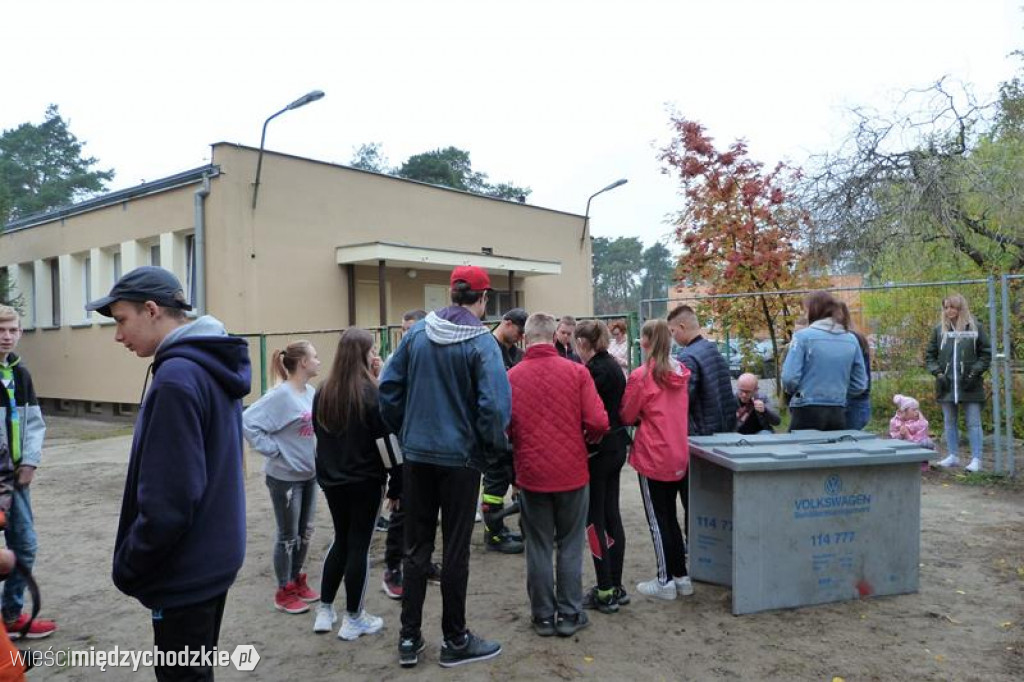 Pokaz umiejętności psich ratowników