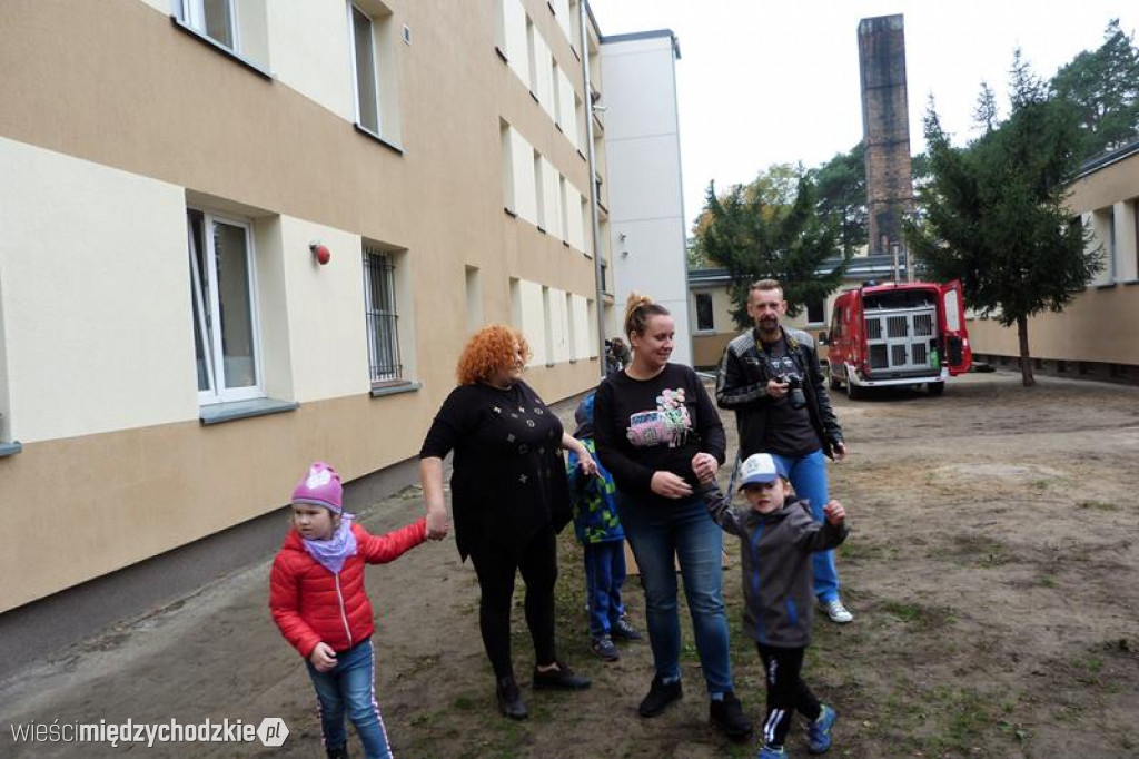 Pokaz umiejętności psich ratowników