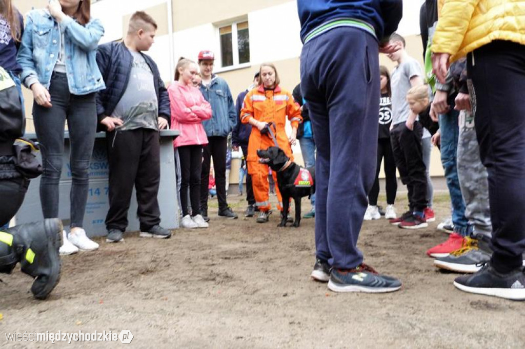 Pokaz umiejętności psich ratowników