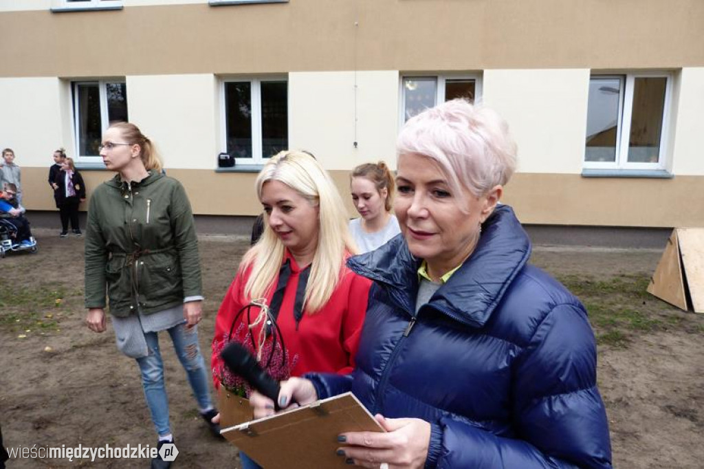 Pokaz umiejętności psich ratowników