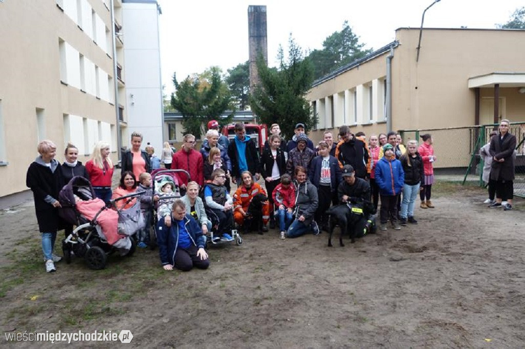 Pokaz umiejętności psich ratowników