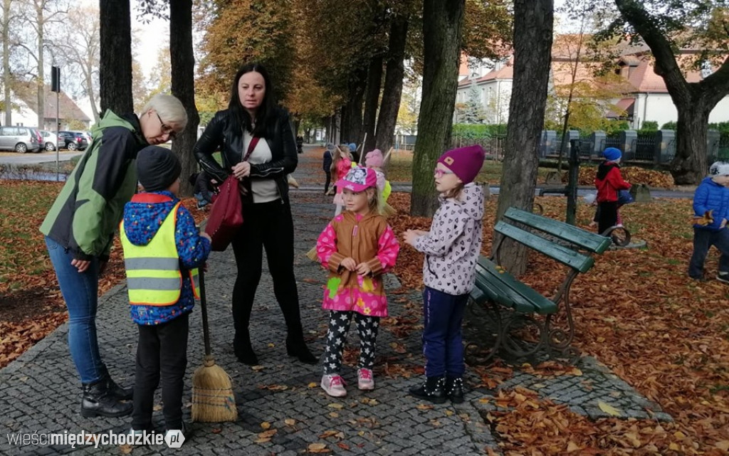 Projekt socjalny LIŚĆ