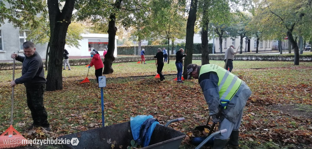 Projekt socjalny LIŚĆ