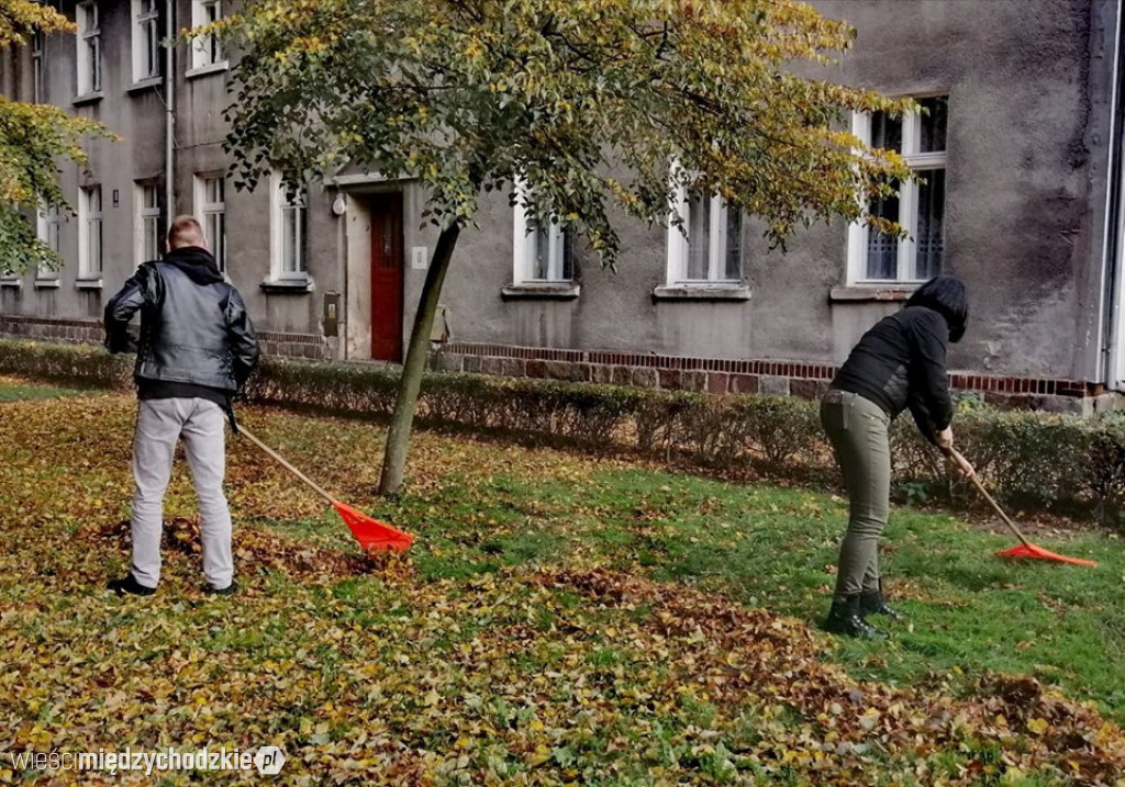 Projekt socjalny LIŚĆ
