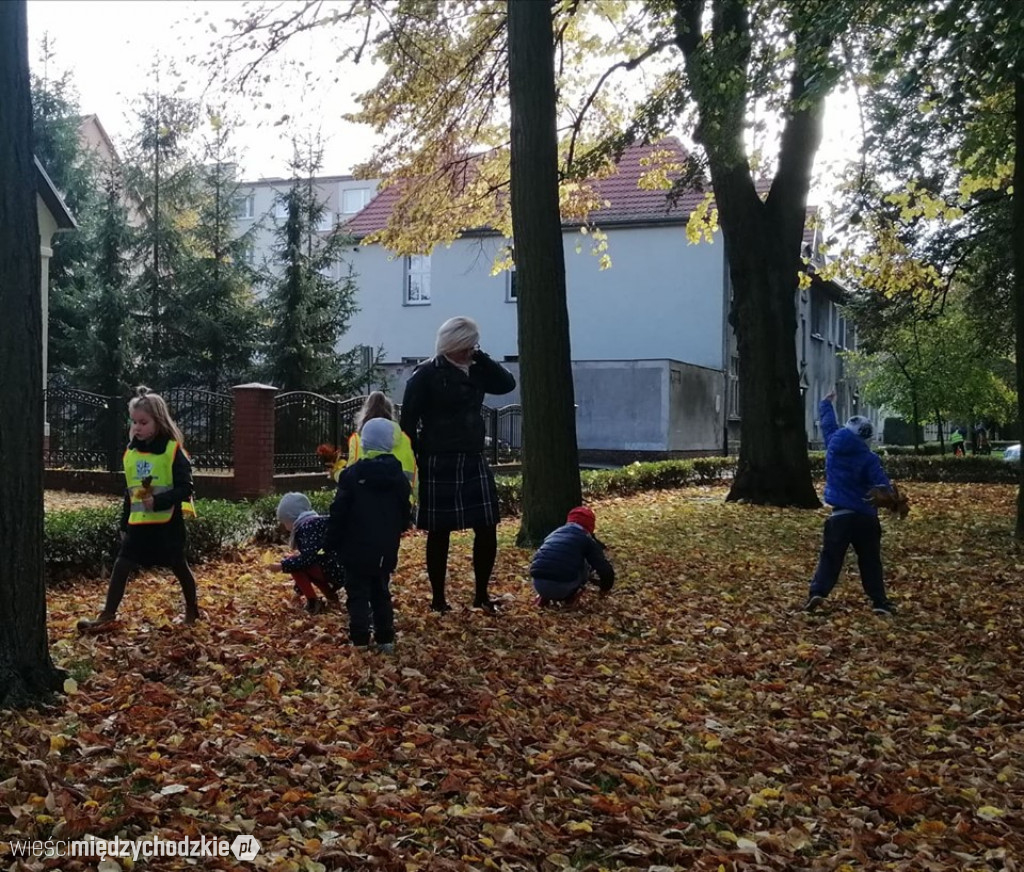 Projekt socjalny LIŚĆ