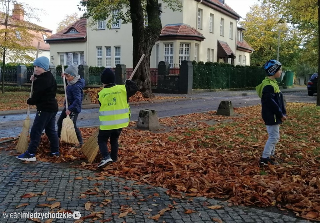 Projekt socjalny LIŚĆ