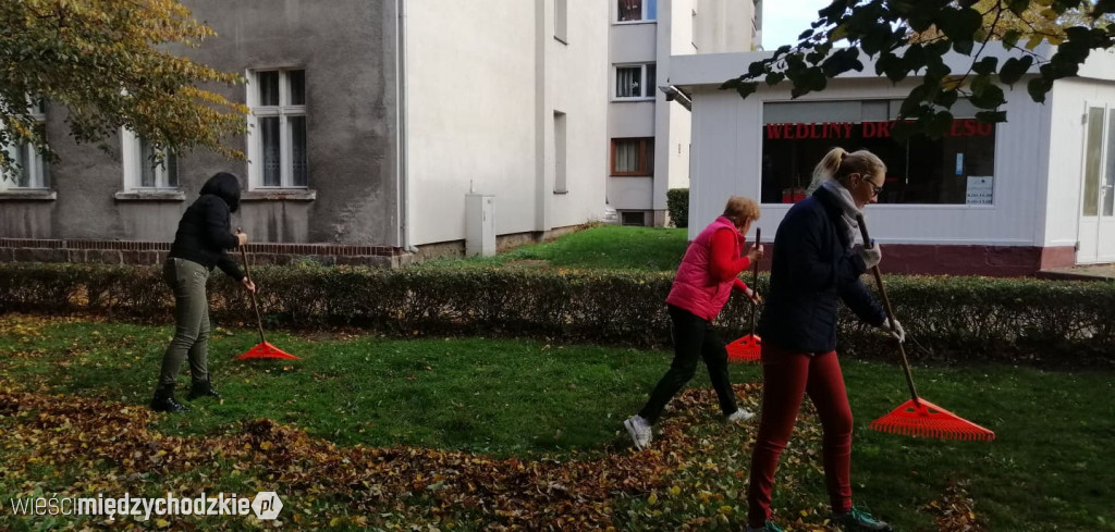 Projekt socjalny LIŚĆ