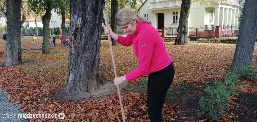 Projekt socjalny LIŚĆ