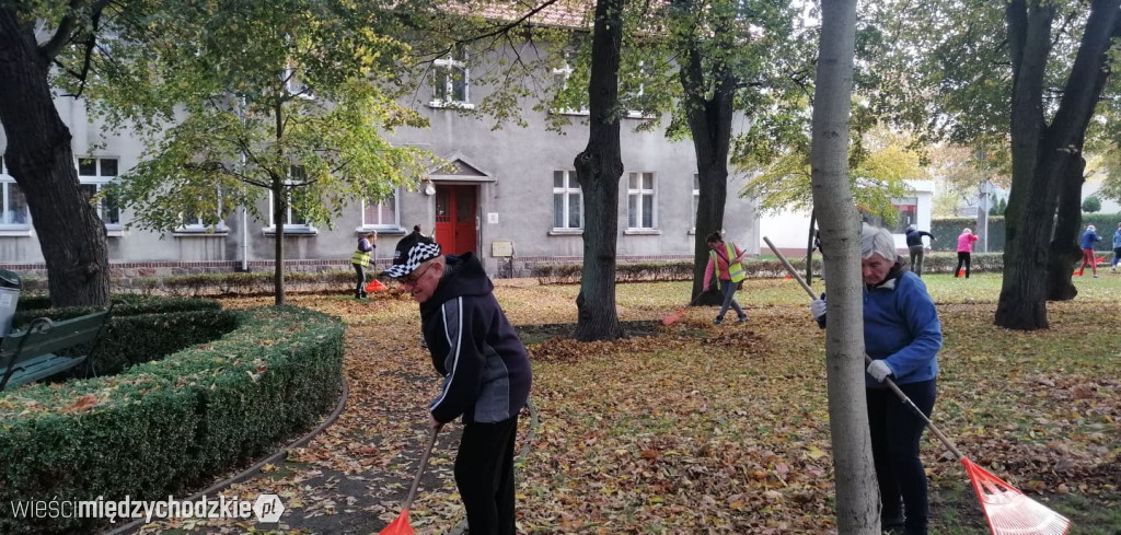 Projekt socjalny LIŚĆ