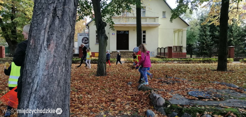 Projekt socjalny LIŚĆ